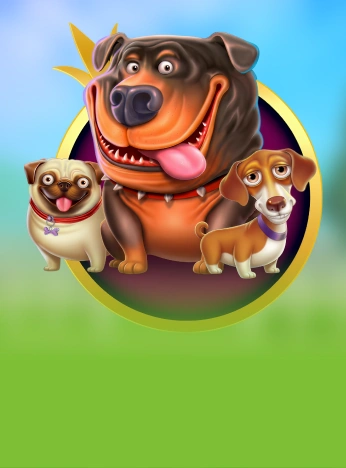The Dog House